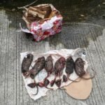 Tempo Dapat Kiriman Bangkai Tikus