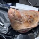 Teror Kepala Babi ke Tempo, Ancaman Serius Kebebasan Pers Indonesia