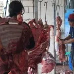 Idul Adha, BPJPH Gelar Pengawasan Terpadu Penyembelihan Hewan Kurban
