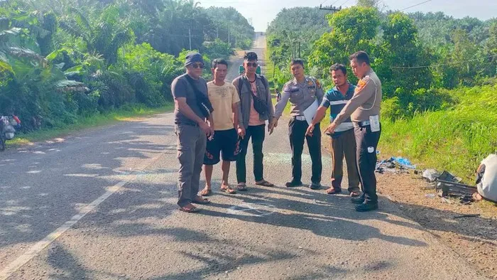 Tragedi di Pelalawan: Land Cruiser Tabrak Ambulans, Dua Orang Tewas
