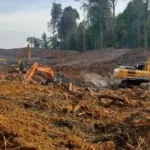Tambang Ilegal Di IKN Terbongkar, Negara Rugi Rp5,7 Triliun