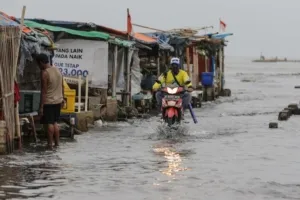 Pramono: Banjir Rob Jakarta Bisa Terjadi dalam Dua Hari