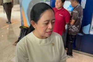 Puan: Putusan MK Bermasalah, DPR dan Parpol Siap Koordinasi