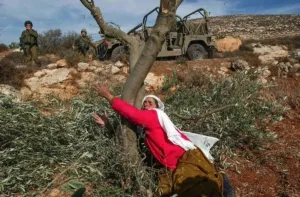 palestina