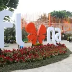 flora
