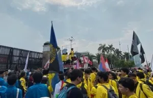demo