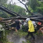 Hujan Deras Disertai Angin Kencang Terjang Jakarta, 10 Pohon Tumbang dan 1 Korban Jiwa