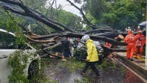 Hujan Deras Disertai Angin Kencang Terjang Jakarta, 10 Pohon Tumbang dan 1 Korban Jiwa