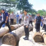 Inspektur Jenderal (Irjen) Helfi Assegaf Kapolda Lampung memeriksa sejumlah kayu yang terbawa arus hingga ke pantai Kabupaten Pesisir Barat.