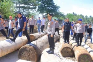 Inspektur Jenderal (Irjen) Helfi Assegaf Kapolda Lampung memeriksa sejumlah kayu yang terbawa arus hingga ke pantai Kabupaten Pesisir Barat.
