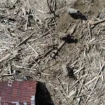 Korban Banjir dan Longsor Sumatera Tembus 961 Jiwa, Pengungsi Lebih dari Satu Juta