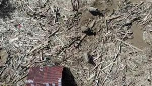 Korban Banjir dan Longsor Sumatera Tembus 961 Jiwa, Pengungsi Lebih dari Satu Juta