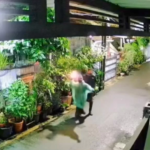 Tak Cukup Teror Bangkai Ayam, Rumah DJ Donny Diserang Bom Molotov