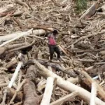 Polisi membeberkan sejumlah perkembangan baru dalam kasus kayu gelondongan yang terseret banjir di Aceh dan Sumatra.