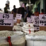 Kementan Pastikan Cadangan Beras Capai 4 Juta Ton pada 2026