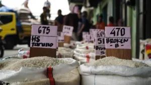 Kementan Pastikan Cadangan Beras Capai 4 Juta Ton pada 2026