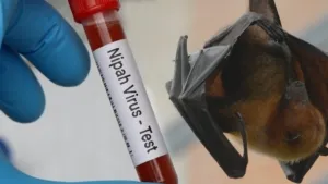 Virus Nipah Terdeteksi di India, Negara Asia Perketat Kewaspadaan