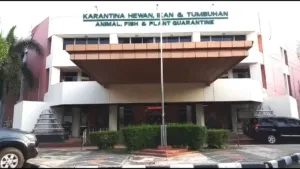 Balai Karantina Hewan, Ikan, dan Tumbuhan (BKHIT) Banten memperketat pengawasan lalu lintas hewan dari India yang masuk melalui Bandara Internasional Soekarno-Hatta.