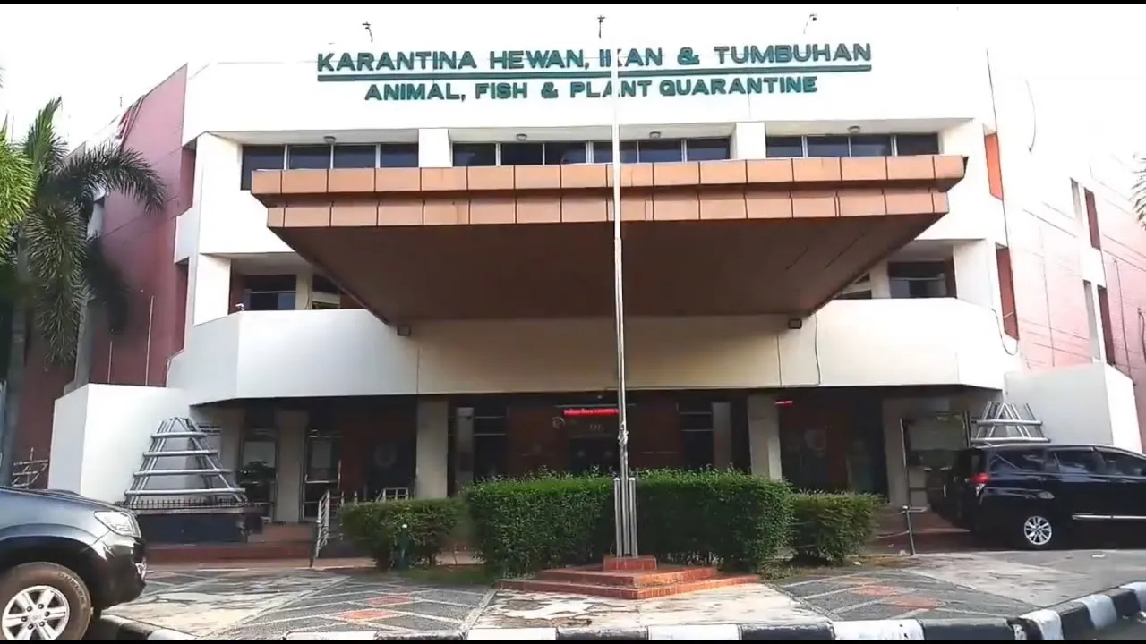 Balai Karantina Hewan, Ikan, dan Tumbuhan (BKHIT) Banten memperketat pengawasan lalu lintas hewan dari India yang masuk melalui Bandara Internasional Soekarno-Hatta.